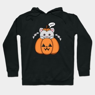 Happy Halloween Cute Cat, Kawaii black cat with pumpkin Hoodie